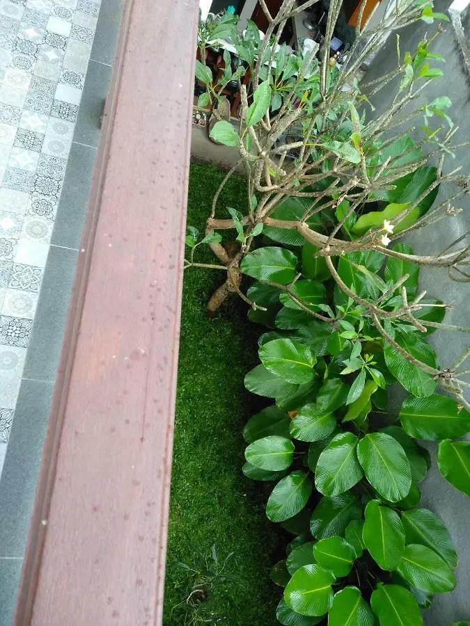 7 House Hotel Ubud  Inn